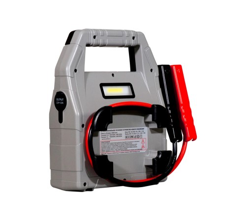 Пусковое устройство Aurora Atom 40