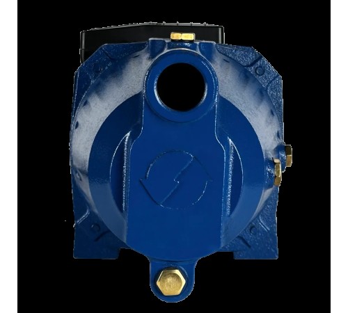 Поверхностный насос  MAXPUMP JSW 900