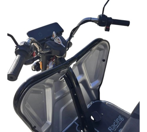 Грузовой электротрицикл Shtenli Model 90 SLA 20Aч 60В