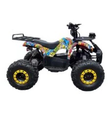 Электроквадроцикл Storm EVO