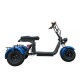 Электротрицикл CITYCOCO GT X7 TRIKE