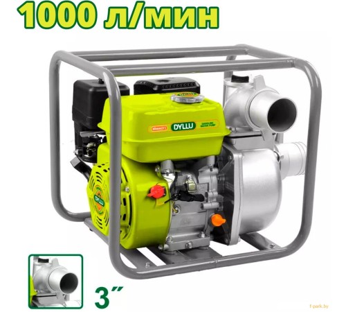 Мотопомпа бензиновая DYLLU DTGW1A32
