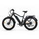 Электровелосипед Eltreco BigCat Dual Next