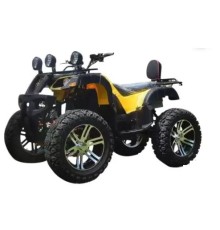 Электроквадроцикл Storm Grand 4x4