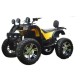 Электроквадроцикл Storm Grand 4x4
