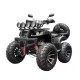 Квадроцикл Storm Select 250CC