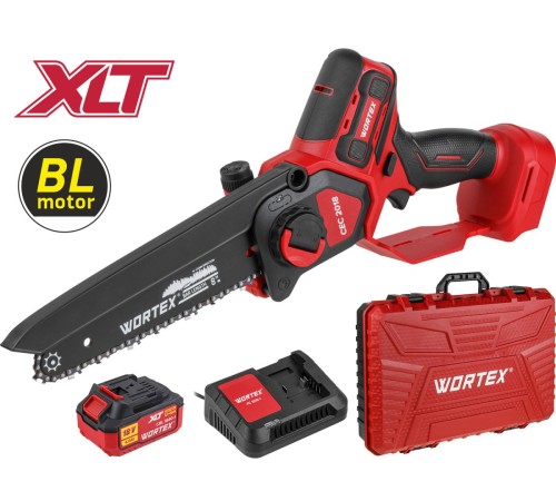 Пила аккумуляторная Wortex CEC 2018 в чем. ALL1 XLT SET (АКБ и ЗУ)