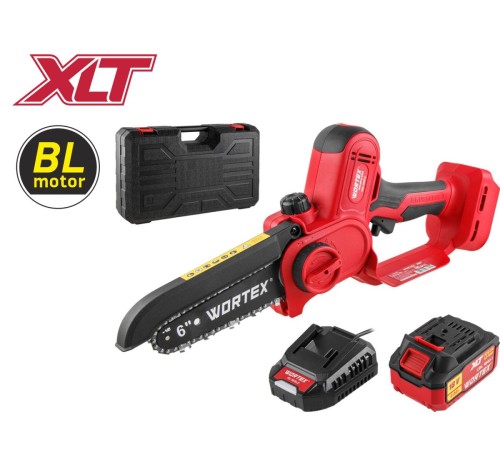 Пила аккумуляторная Wortex CEC 2518-2 в чем. ALL1 XLT SET (АКБ и ЗУ)