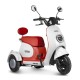 Электротрицикл Rutrike Gelbert Ogma 48V/60V 650Вт