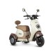Электротрицикл Rutrike Gelbert Ogma 48V/60V 650Вт
