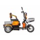 Электротрицикл  Rutrike Бумеранг