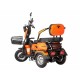 Электротрицикл  Rutrike Бумеранг