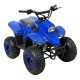 Квадроцикл детский Storm Robo 110 куб. (1 вперед)