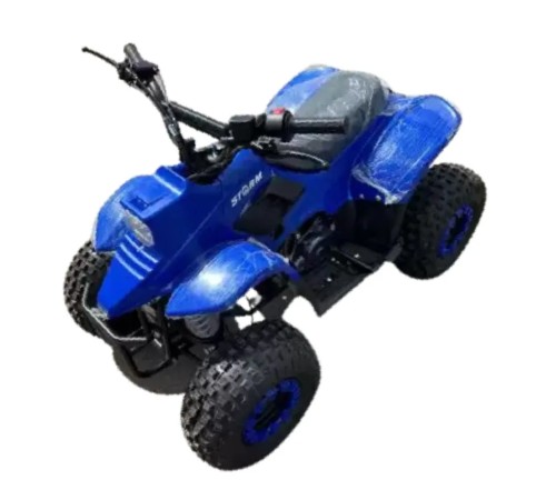 Квадроцикл детский Storm Robo 110 куб. (1 вперед)
