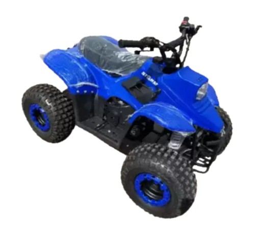Квадроцикл детский Storm Robo 110 куб. (1 вперед)