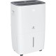 Осушитель воздуха Royal Clima CARISMA Villa RD-CR30-E