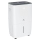 Осушитель воздуха Royal Clima CARISMA Villa RD-CR30-E