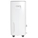 Осушитель воздуха Royal Clima CARISMA Villa RD-CR40-E