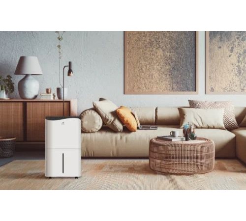 Осушитель воздуха Royal Clima PACIFIC Villa RD-PC-40-E