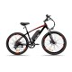 Электровелосипед  Shtenli Model GT17 36V13А