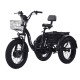 Электровелосипед Shtenli Trike 31 (Li-ion) 48V10,4A PRO