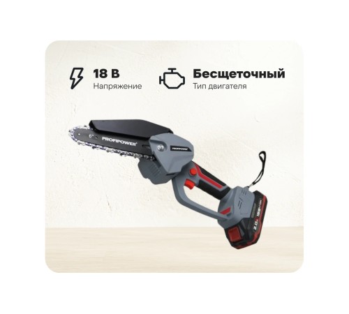 Пила аккумуляторная ProfiPower MKGST-18V E0097-NEW (2хАКБ и ЗУ)