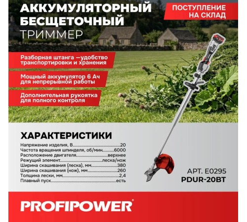 Триммер аккумуляторный ProfiPower PDUR-20BT E0295 (АКБ и ЗУ)