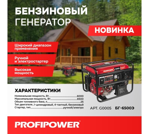 Генератор бензиновый ProfiPower БГ-6500Э G0005