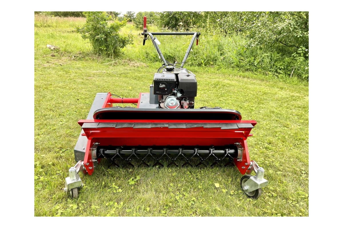  LM100
