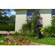 Ручная воздуходувка Ryobi RBV3000CSV