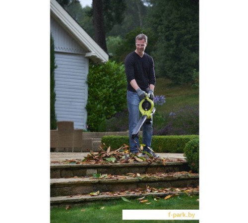 Ручная воздуходувка Ryobi RBV36B [5133002524]