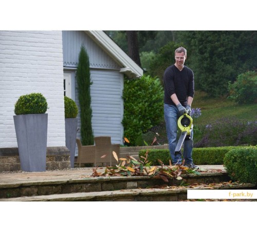 Ручная воздуходувка Ryobi RBV36B [5133002524]