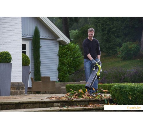 Ручная воздуходувка Ryobi RBV36B [5133002524]