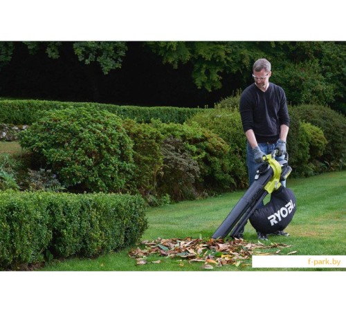 Ручная воздуходувка Ryobi RBV36B [5133002524]