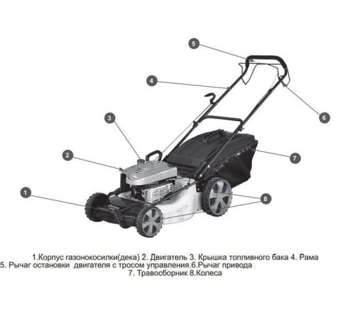 Газонокосилка бензиновая Champion LM5345BS