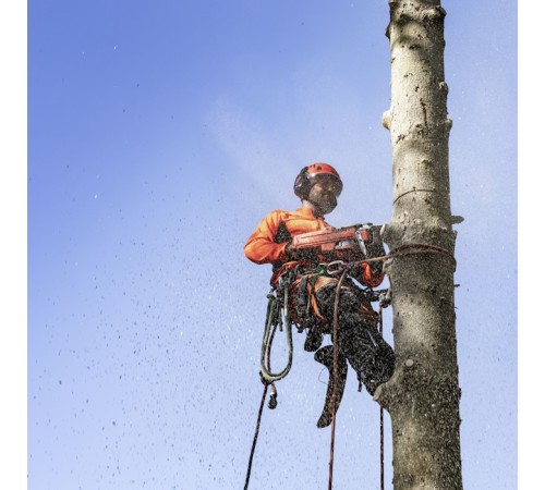 Бензопила Husqvarna 545 MarkII 15