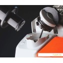 Бензопила STIHL MS 211 C-BE