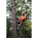 Бензопила Husqvarna 545 MarkII 15