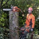 Бензопила Husqvarna 545 MarkII 15