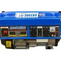 Генератор бензиновый ECO PE-3001RS