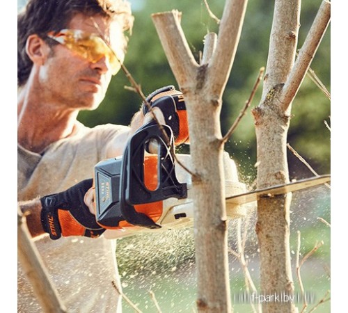 Пила аккумуляторная STIHL MSA 120 C-BQ (с AK 20 и AL 101)