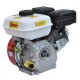 Бензиновый двигатель Skiper N170F(SFT)