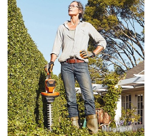 Кусторез STIHL HSA 56 (с AK 10 и AL 101)